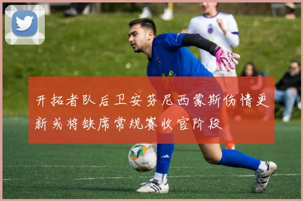 开拓者队后卫安芬尼西蒙斯伤情更新或将缺席常规赛收官阶段