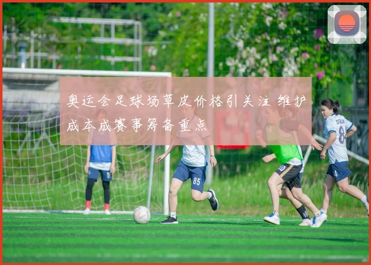 奥运会足球场草皮价格引关注 维护成本成赛事筹备重点