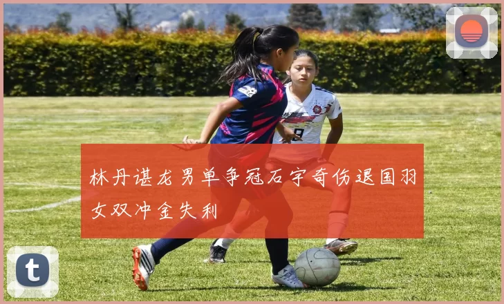 林丹谌龙男单争冠石宇奇伤退国羽女双冲金失利