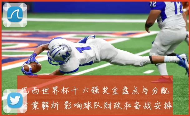 巴西世界杯十六强奖金盘点与分配方案解析 影响球队财政和备战安排
